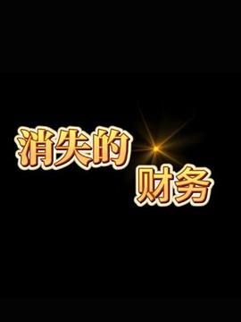 消失的财务第11集