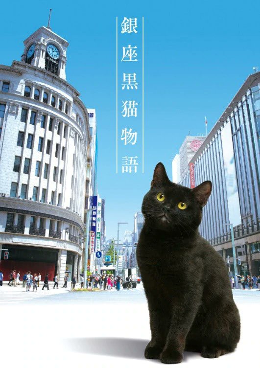 银座黑猫物语第10集